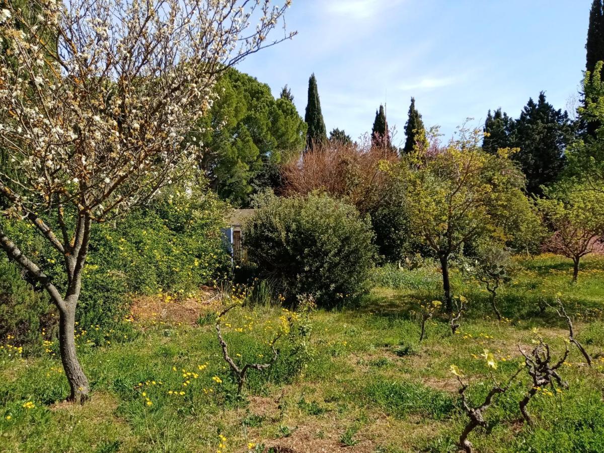 ホテル Au Mas Saint Pierre Pignans エクステリア 写真