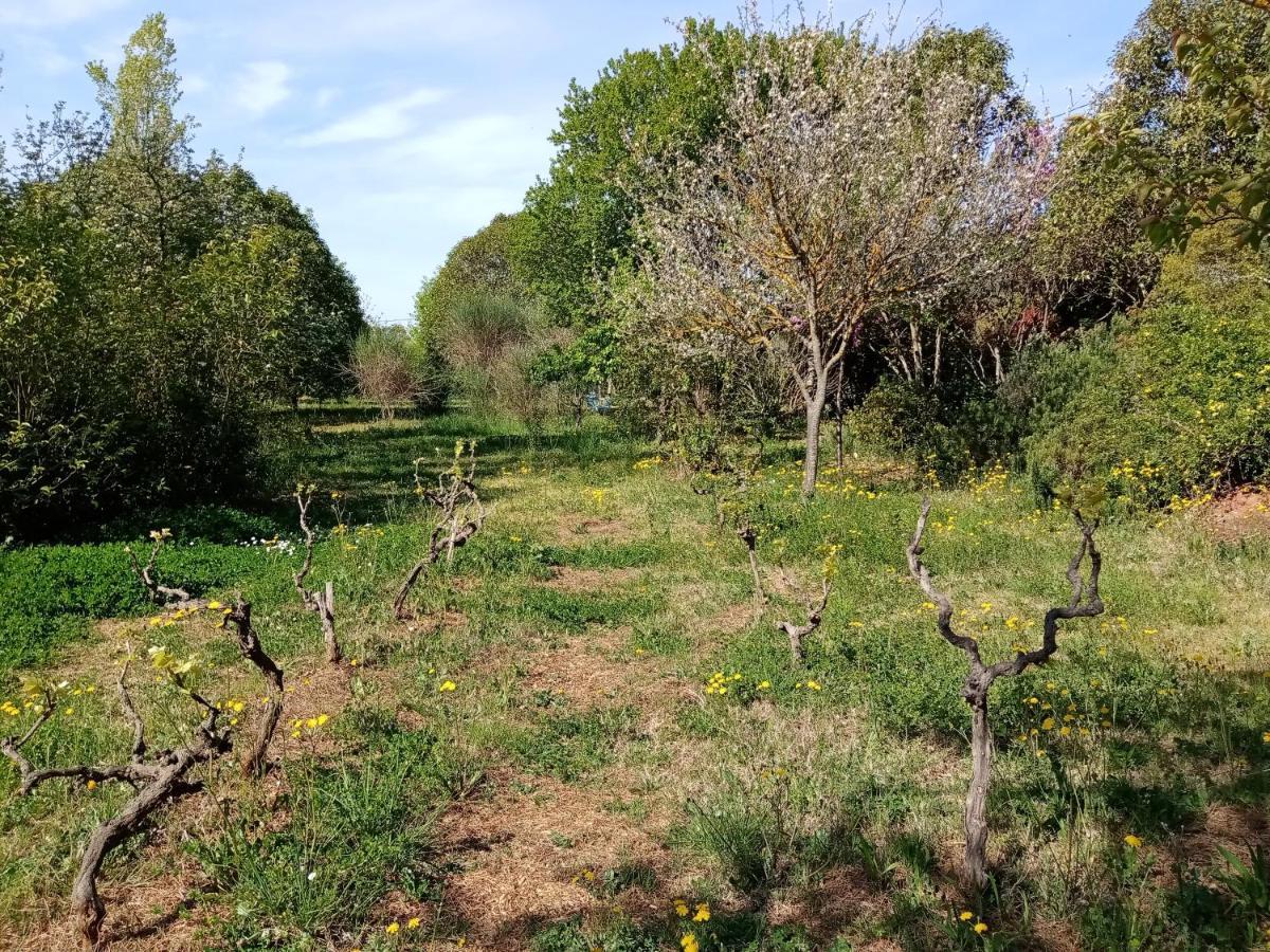 ホテル Au Mas Saint Pierre Pignans エクステリア 写真